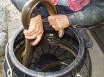 17N10.JPG