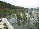 PB030094.JPG